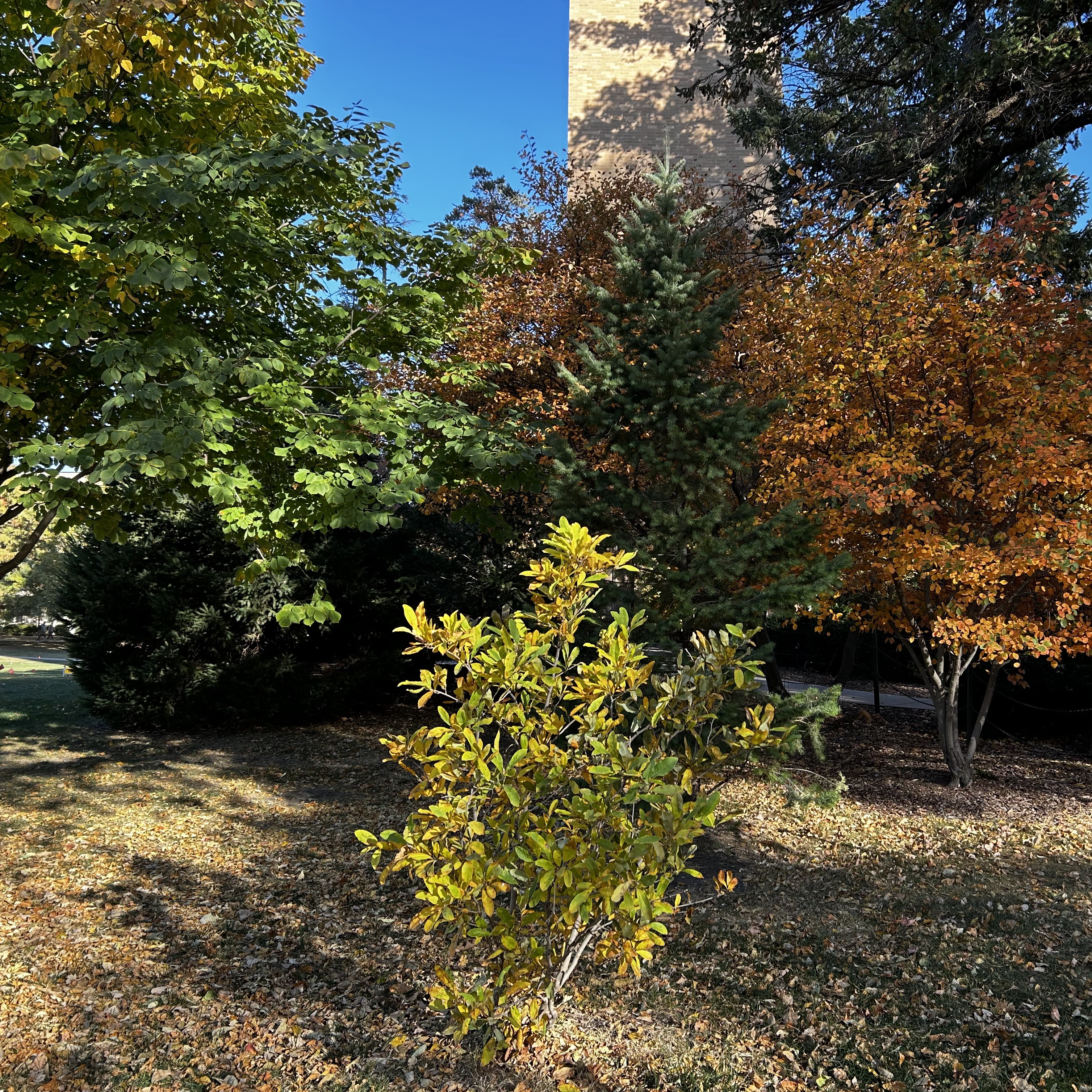 context photo